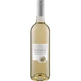 Cantina Valdadige Pinot Grigio Valdadige DOC 6 x 0,75 l