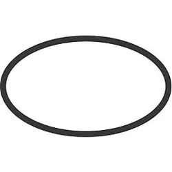 hansgrohe O-Ring 90341110 98164000