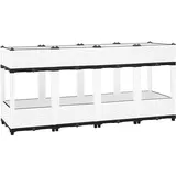 vidaXL Hochbeet 160 x 40 x 71 cm Grau