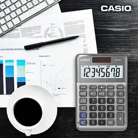 Casio MS-80F Grau
