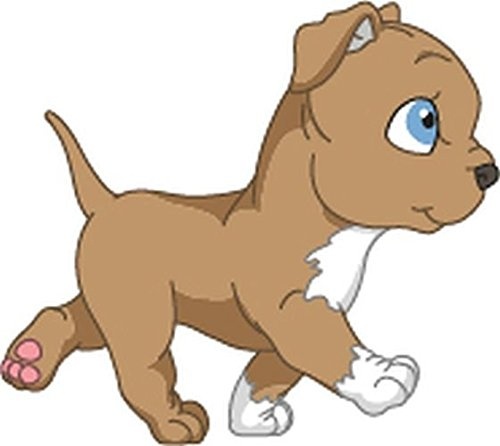 pit bull