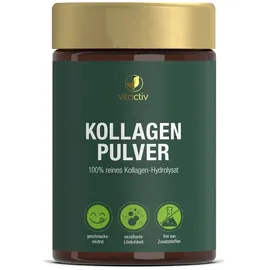 Vitactiv Collagen Pulver 300 g