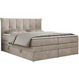 MKS Boxspringbett PREMIUM 10 KING 200/200 Beige Struktur - H4