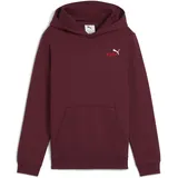 Puma Essentials 2 Color Small No. 1 Logo Hoodie FL B