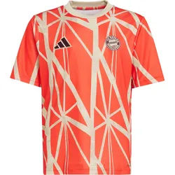 adidas FC Bayern München Prematch Funktionsshirt Kinder in red, Größe 176 - rot