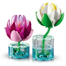 LEGO Botanicals Seerosen 11511