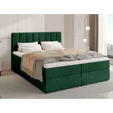 bromarkt Boxbett, Grün,