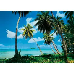 Fototapete PAPERMOON "Tahiti", bunt (mehrfarbig), B:3,5m L:2,6m, Vlies, Tapeten