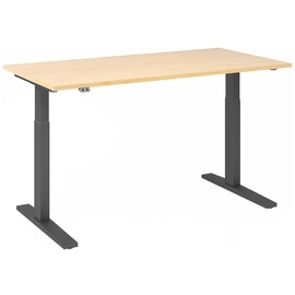 Hammerbacher XMKA16 elektrisch höhenverstellbarer Schreibtisch ahorn rechteckig, C-Fuß-Gestell grau 160,0 x 80,0 cm