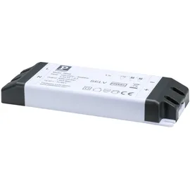 Paulmann 79969 Pro Strip Power Supply Zubehör 230/24V 40VA Weiß