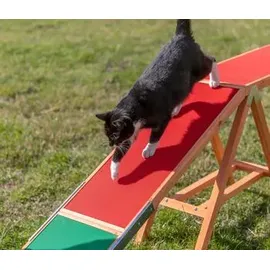 Trixie Agility Steg – 64 30 cm