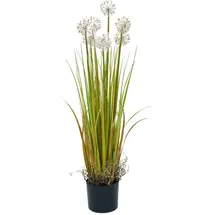 Europalms Pusteblume, 107cm