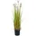 Europalms Pusteblume, 107cm