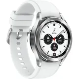 42 mm LTE Silver