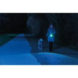 ABUS TL-515 Taschenlampen grau/schwarz