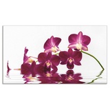 Artland Küchenrückwand »Phalaenopsis Orchidee«, (1 tlg.), Alu Spritzschutz mit Klebeband, einfache Montage, lila