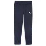Puma teamGOAL Trainingshose Herren 06 navy/white/persian blue M