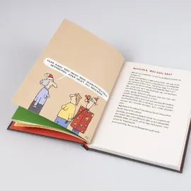 Lappan Verlag Fieser Advent