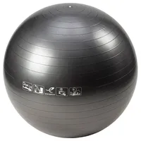 Energetics Gymnastikball Gymnastik-Ball Gymnastic Ball / Physioball ANTHRACITE 75