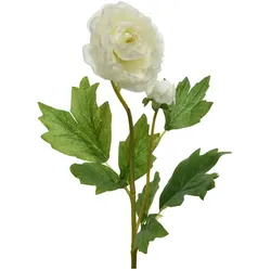 Decoris Künstliche Ranunkeln Stiel 57cm Kunstblumen Seidenblumen Frühlingsblumen Weiß