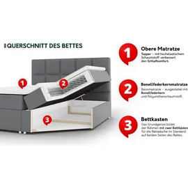 Mirjan24 Boxspringbett Malaga, Moderne Doppelbett mit zwei Bettkästen, Schlafzimmer (Amor Velvet 4304, Größe: 200x200 cm) - Beige