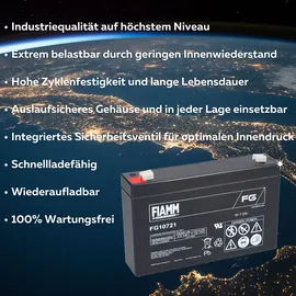 Fiamm FG10721 Pb 6V 7200 mAh 1 St.