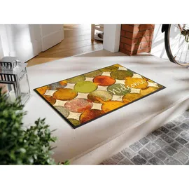 Wash+Dry Charming Path 50 x 75 cm Grau