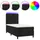 vidaXL Boxspringbett 100 x 200 cm Schwarz