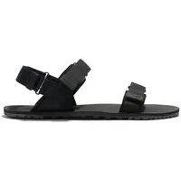 Xero Shoes D-trail Schuhe (Größe 43