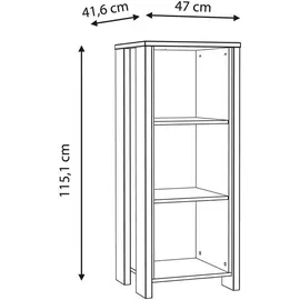 Forte Clif Aktenregal 115 x 46 x 41,6 cm braun