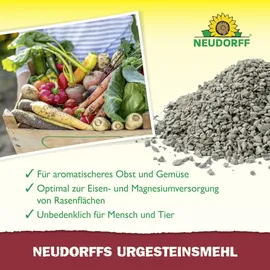 NEUDORFF Urgesteinsmehl 2,5 kg