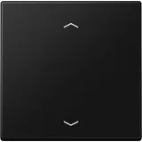 Jung Wandsender ENO LS 990 P SWM