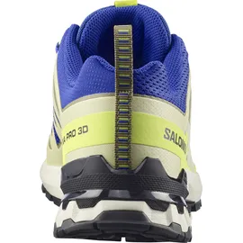 Salomon XA Pro 3D V9 Herren Bluing Bog/Acid Lime 48