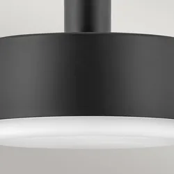Hinkley Cedric Medium Pendant - Black