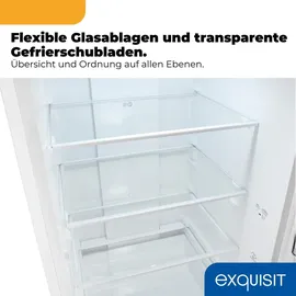 Exquisit KGC5400-130-NF-040D Kühl-Gefrierkombination (400 l, 1860 mm hoch, Weiß)