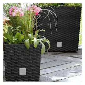 Prosperplast Rato Low 26,2 x 26,2 x 26,6 cm anthrazit