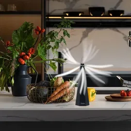ideoon Mobiler 2-Flügel Insektenvertreiber Batterie & USB 1-tlg.