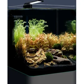 Dennerle Nano Cube Basic, 20 Liter - Mini Aquarium mit Abgerundeter Frontscheibe