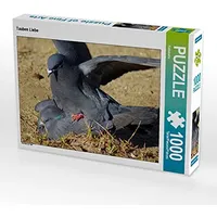 Calvendo Puzzle Tauben Liebe 1000 Teile Puzzle quer |