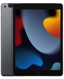 Apple iPad 10,2" 9th Generation Wi-Fi + Cellular 256 GB Space Grau MK4E3FD/A
