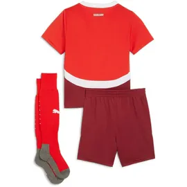 Puma SFV Home Minikit puma red-team regal red (01) 104