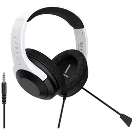 Raptor Gaming H300