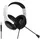 Raptor Gaming H300