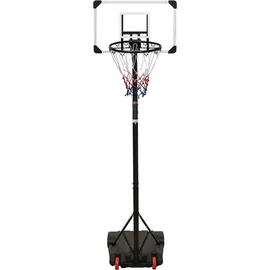 vidaXL Basketballständer Transparent 216-250 cm