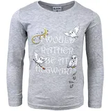HARRY POTTER Langarmshirt Harry Potter Hedwig in Grau | Gr.: 104