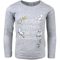 HARRY POTTER Langarmshirt Harry Potter Hedwig in Grau | Gr.: 104
