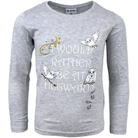 HARRY POTTER Langarmshirt Harry Potter Hedwig in Grau | Gr.: 104