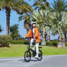 Xiaomi Elektrisches Fahrrad Xiaomi 20" 250W Schwarz
