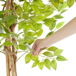 TECTAKE Künstlicher Ficusbaum Fida, realistische Textur - 180 cm