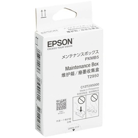 Epson C13T295000
